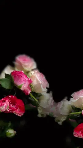 طبع حبك بقلبي والايام ما تمحيه #اكسبلوررررررر 