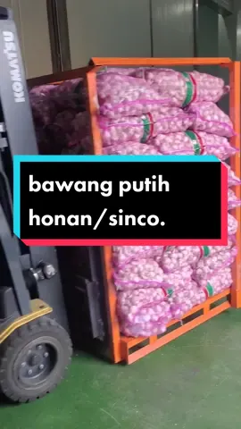 supplier bawang putih dan rempah rempah pilihan berkualitas,#fyp #viral #fypシ #bawangputih 