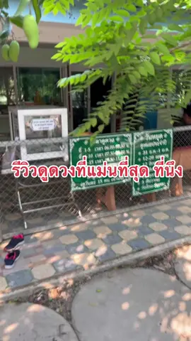 #ดูดวงแม่ชี #วัดดงป่าคําจังหวัดพิจิตร 