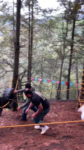 ¿Te atreves a una carrera de obstáculos con toda tu familia y amigos ? . . . .#lugaresparavisitar #tiktokaventura #campamentofamiliar #camping #actividadesinfantiles 