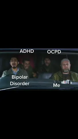 I’m just along for the ride. #bipolar #adhd #ocpd #mentalhealthmemes 