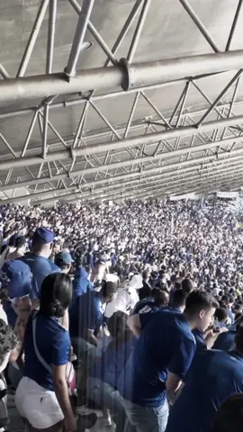 A maior 💙🦊 || usem:#gustabr || #cruzeiro #tiktokbrasil #tiktok #fypage #fypシ #fypシ #fyp #fy #cruzeirocabuloso #maiordeminas😍💙 #cruzeiroesporteclube #foryou #vaiprofybct 