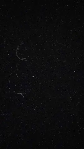 4 vị trí 2008 đến từ Lạng Sơn 