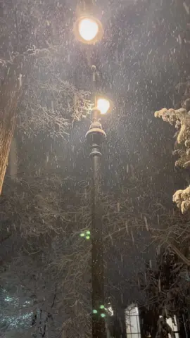 😍💔 #almaty #kazakhstan #snow #winter #beauty #vibe #atmosphere #nature #fyp #top #night #алмата #казахстан #красота #снег #атмосфера #зима #ночь #морозы #рек #топ #природа 