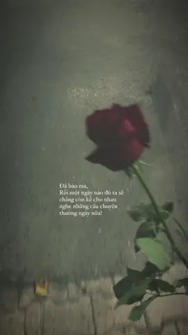 #tkng2506 #fyp #xuhuong #xuhuongtiktok2023 #caphay #tìnhyêu #xuhuongtiktok #tamtrang #gei #bachhop 