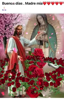 #CapCut #bendecidomartes  Buenos días 🌞 gracias a la virgen de Guadalupe y a Dios por darnos otro día más de vida.  ¡Bendiciones! 🙏 