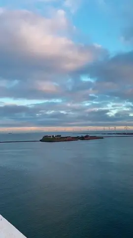 🌊💙