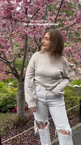 Officially cherry blossom season 🌸 #sandiego #Vlog #spring 