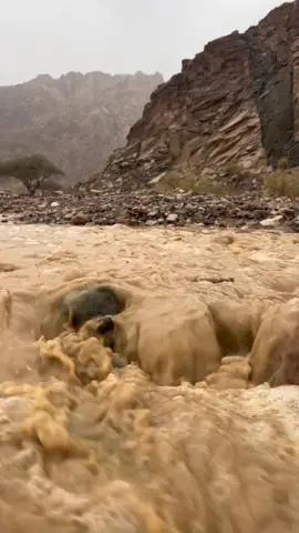 #امطاراليوم #البدع #تبوك #fyp #اكسبلور #explor 