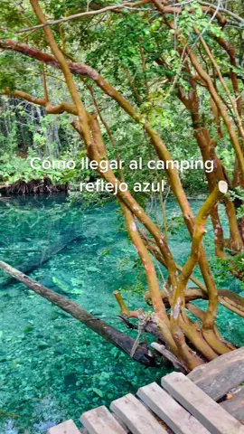 No olvides llevarte tu basura 🚮 #parati #fyp #cochamo #viaje #camping #chile #foryou  