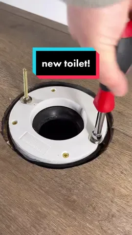 toilet for your tuesday 