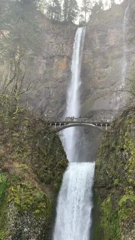 We have some truly spectacular waterfalls here in Oregon. #falls #waterfalls #multnomahfalls #wahkeenafalls #columbiarivergorge #oregon #pnw #pnwlife 