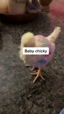 What Nurses do on their day off #chickensoftiktok #babychicks #chickennuggets #chickenwings #chickensandwich #babyhen #chickendressup #famikytok #nursesoftiktok #momsover30  #nursehobby #cooplife🐓 #coocoonest #henoftiktok #fyp #mcchickengang #chickenlittle #breakfast #lunch #dinner #momof10 #chickychickychicky #chickybombomreal #chickyboom #chickynuggies #chickypie #tweettweettweet #chickaletta #chickenpoop #chickfila #chickenislife #chickidichina 