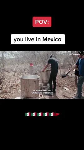 #screammovie #breakingbad #breakingbadeditz #cartel #lilyatchy #meme #mafia #lilyatchypoland  