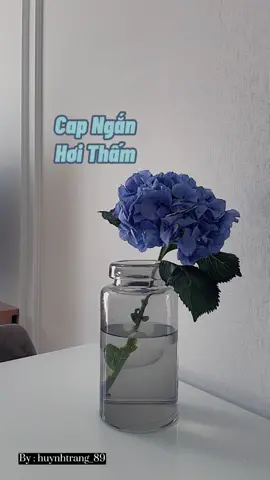 Ai cũng nghĩ mình to tát , đến khi đời cho cái tát to . #cap #caption #story #fyp #foryou 