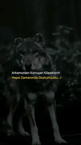 #anlamlısözler #ağırsözler #gecesozleri #lafsokucusözler #duygusalsozler #güzelsözler #anlamlisözler #racoonsoftiktok #raconkrali #yurekyakansahne #tutsun #tutsun #tutsun #tutsun #raconkrali #ozlusoz25 #yorgunreis.