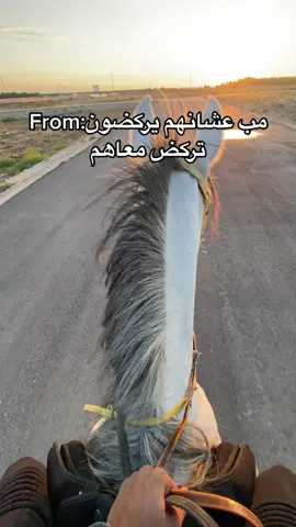 الحال مع اصايل 🤣#CapCut #خيل #الاحساء #fyp #explore  