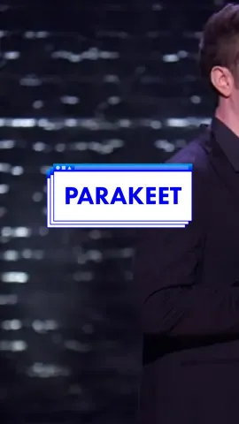 #standupcomedy #anthonyjeselnik #foryou #darkhumour #parakeet 