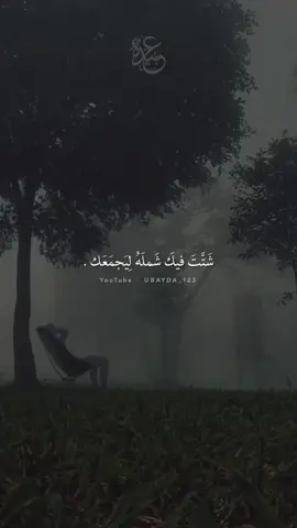 أين الصديق | محمد مختار الشنقيطي . #shorts #ubayda_123 #مقاطع_دينية #fyp #الصديق #خواطر #حالات_واتس 