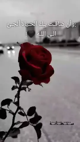 #حالات_واتس_اب #هادئه_قويه_جميله_وحيده🖤 ﺳۦ۬ۦ۬ﻠۦ۬ۦ۬ﻄۦ۬ۦ۬ﺂﻧۦ۬ۦ۬ﺔ 