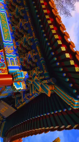 🥹 #corecore #fyp #fypシ #core #real #nature #china #novacane #shilohdynasty #real #4k 