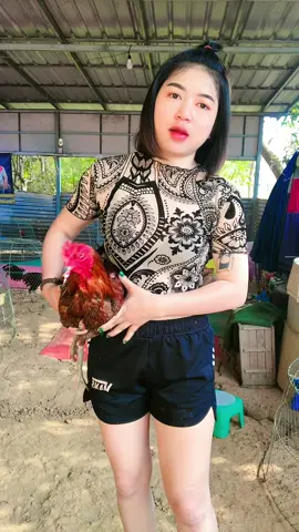 ไปเลิกเจ้าชู้ให้ได้ก่อนนะหนู🤣#ผู้สาวไก่ชน #ฝากกดติดตามด้วยนะคะ #เอาขึ้นฟีดหน่อยค้าบบ🥺💗 #เด็กสระแก้ว #อย่าปิดการมองเห็น 