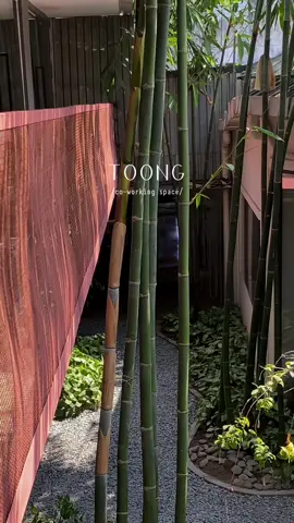 recipe for worklife • the greenery • joy  #toong #fyp 