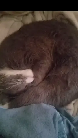 watch this when your feeling down#feelingdown #sad 