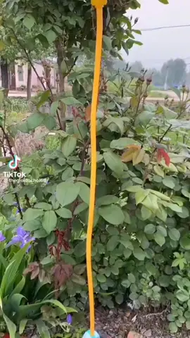 water gun @ 1500