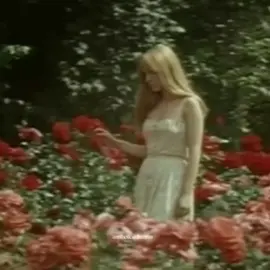 beauty of nature🧚‍♂️🌸🪺🌷🍃#cottagecore #Aesthetic #nature#edit#fairycore#fyp #foryou #Movie