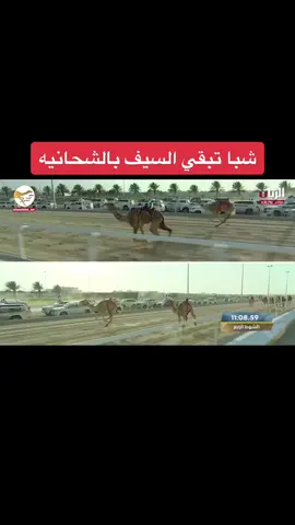 #الشحانيه #شبا #الهجن #هجن #fyp #هجن_الشحانيه #تميم_بن_حمد #قطر🇶🇦 #هجن_الرياسة #هجن_العاصفه #هجن_زعبيل 