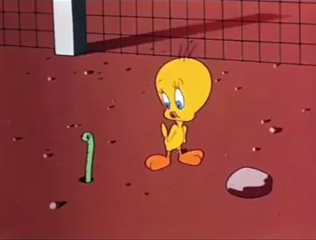 トゥイーティー可愛い(๑´ω`๑) #トゥイーティー