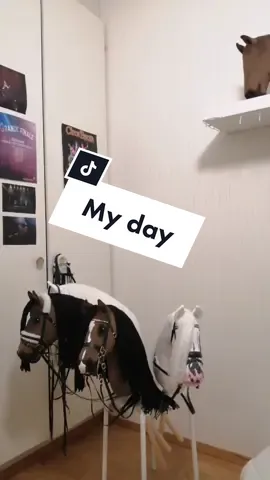 A day of making honbyhorses in my small business.  #tackmaking #bridle #leatherwork #horsetack #hobbyhorseartist #hobbyhorsing #käpphäst #steckenpferd #keppihevonen #stickhorse #hobbyhorse #myday #customorder 