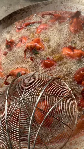 Chim quay lá bóc mật 