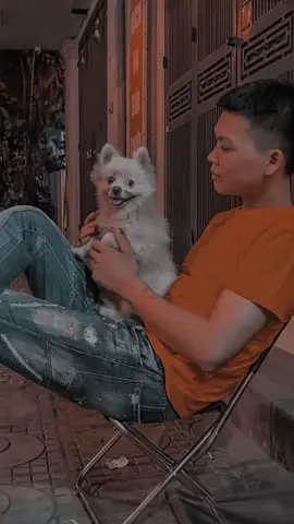 #TikTokGiaiTri lộc bình xịn