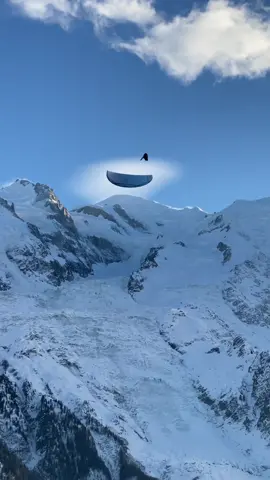 Enjoying Mont Blanc upside down 🙃🥰! . 📸 : @Julien Gross'  . #paragliding #parapente #extremesports #acrobatics #outdoor #mountain #winter #fyp #swissacroleague #chamonixmontblanc 