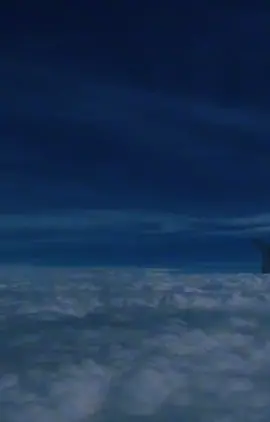 Una flor 🌻❤️‍🩹🎶🥺#ozuna #unaflor #viral #❤️‍ #videos #amo 