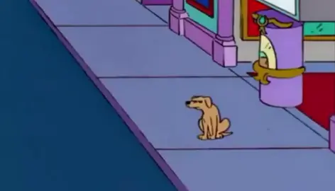 Mysterious Dog 🐕 #viral #fyp #parati #humortiktok #humor #fypシ #lossimpsons #lossimpson 