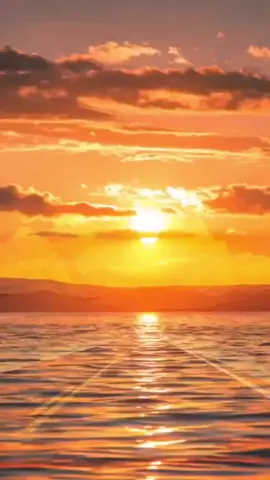 # Dana Winner# conquest of paradise #روعة الغنية وبهديها لأجمل اصدقاء #music #sal #best #Love #explore #fypシ #foryoupage #viraltiktok # 
