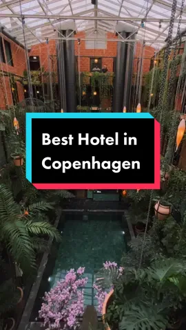 📌 Add this to your “Dream Hotels” list… 📍Manon Les Suites, Copenhagen Manon Les Suites, a @guldsmedenhotels property, is a little slice of Bali in Copenhagen. Beautiful rooms surround this gorgeous atrium with heated pool, lounge beds, and bar. This was a bucket list hotel stay of mine and it did not disappoint! Want the full tour to see what it’s really like to stay here? Let me know! . . #beautifulhotels #hotels #hotelsandresorts #hotelsoftheworld #manonlessuites #guldsmedenhotels #copenhagen #luxuryhotel #luxuryhotelsandresorts 