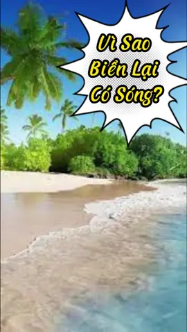 Câu Hỏi 3: Vì Sao Biển Lại Có Sóng?     #thegioiquanhta #TikTokGiaiTri #10vancauhoivisao 