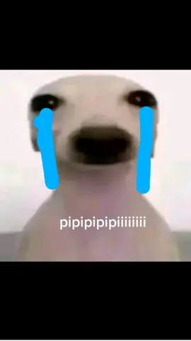 el meme #parati 