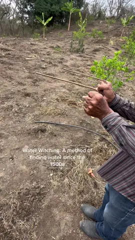 Dowsing, also called “divining” or “witching,” refers to the practice of observing a pointer — often a forked stick, rods, bent wires, or a pendulum — move in response to some type of influence or transmitter. Some consider it a reliable method for locating underground items of interest, including water, oil, and ore. This guy locates water for wells and so far has been 100% accurate. He does not move the rod whatsoever. Interesting, no? #mexico #water #farm #witchtok #fyp 