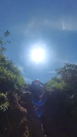 Trek menuju pos 2 gunung Merbabu via Suwanting,,,jalur nanjak minim bonus,tapi asik d temani burung jalak#trailrunner #trailrunning #merbabumountain #suwantingmerbabu #merbabu3142mdpl #suwanting #trailrunninggirl #pendakitektok #pendakiindonesia #merbabuviasuwanting #merbabu 