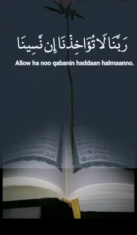 Quran karim🤍 #quran_alkarim #muslim #muslimtiktok #foryou #قرآن #fypシ #fyp #muslim #tafsiirkaquraanka 