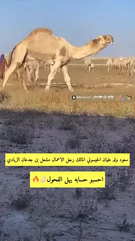 #اكسبلور_تيك_توك #اكسبلور_تيك_توك_مشاهير #وليد_بن_موسى💥 