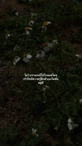 หนีเท่าไหร่ก็หนีไม่พ้น #เธรด #เธรดความรู้สึก #เธรดเศร้าシ #เอาขึ้นหน้าฟีดที #เปิดการมองเห็น #fyp #อกหักเศร้า💔🥀😞 