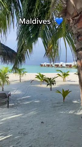Imagine spending your days like this 💙  #fyp  #trending #viral #travel #Summer #beach #tiktok #smile #maldives 