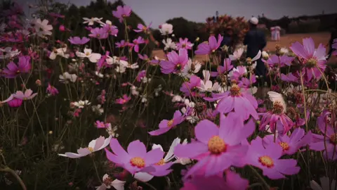 uthsorgo 🙃🌼 #animation #viral #trend #perfect #iphone#🥹🌸  #fypシ #edit  #latestversion #clipavailvl🥹 #hindisong #comingsoon #lyric #nature #air #updated 