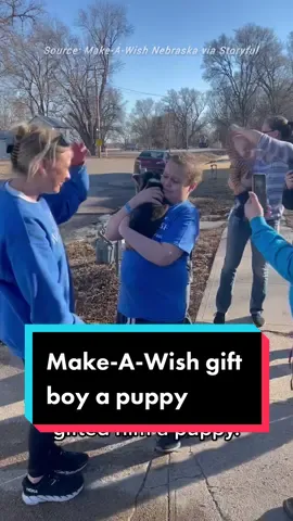 His reaction. 🥺 #puppy #makeawish #america #beautiful #fyp #usa 